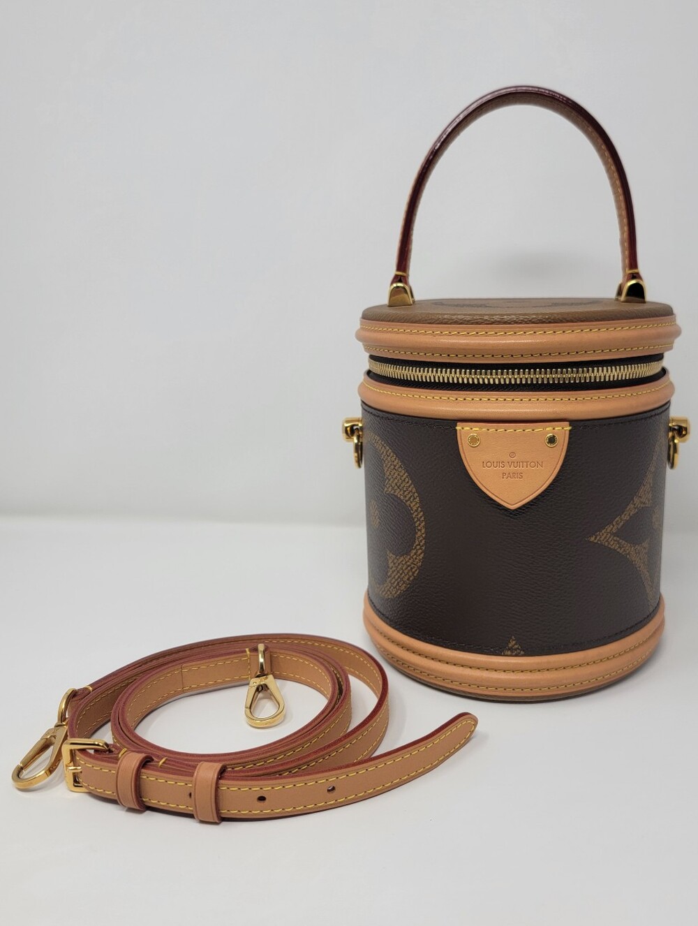 LOUIS VUITTON Giant Reverse Monogram Cannes Vanity Crossbody Bag